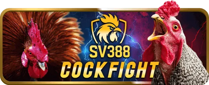 Quy định Tài khoản Người dùng ok365m win